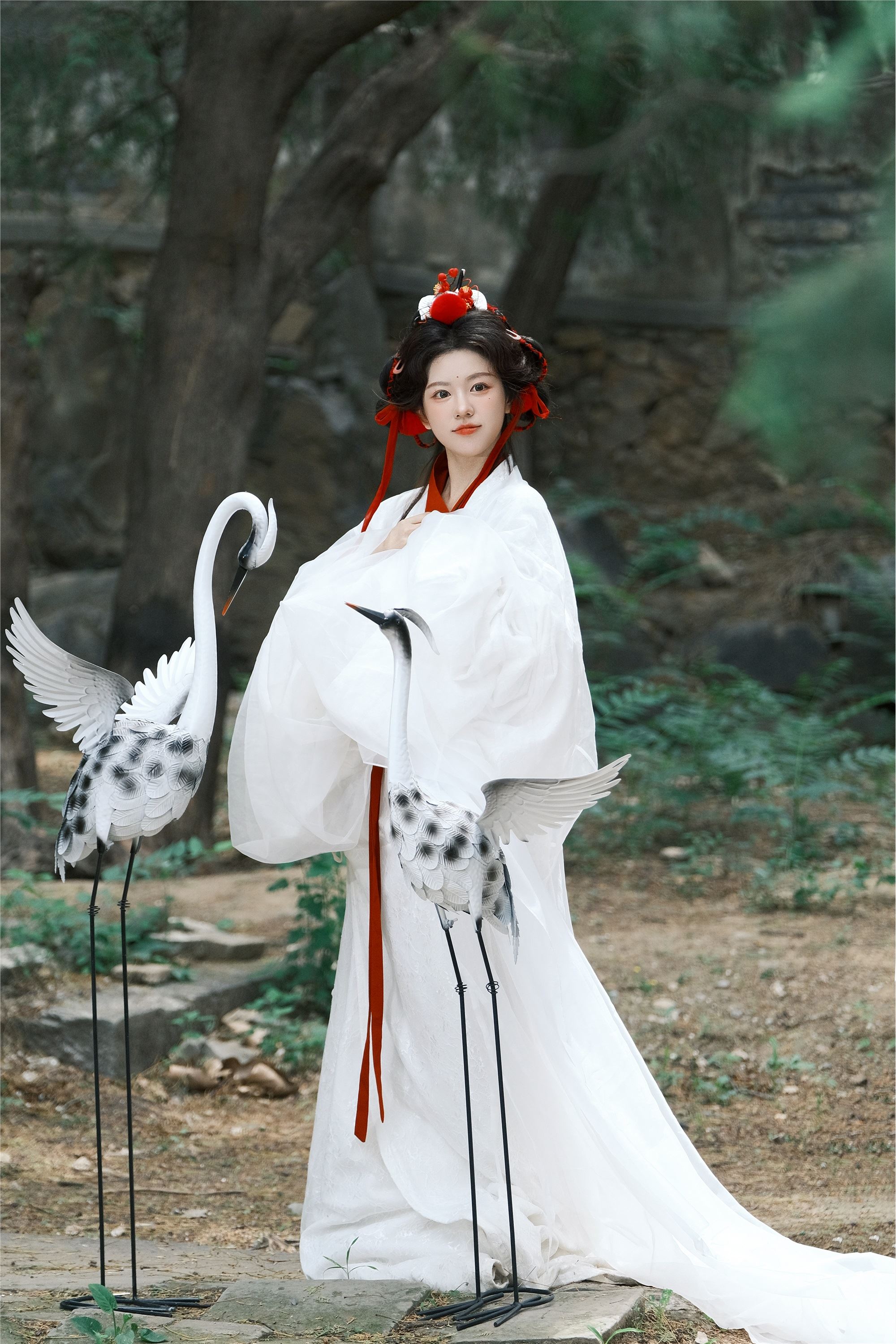 YITUYU艺图语 2025.02.05 鹤 整整